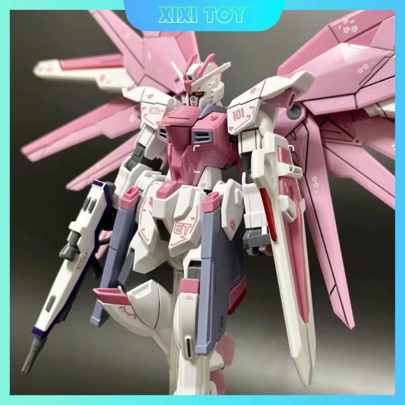 JMS HG 1/144 ZY-06 Freedom Ass - Bandai Gundam Hg reseña y precio