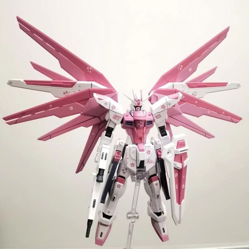 JMS HG 1/144 ZY-06 Freedom Ass - Bandai Gundam Hg reseña y precio