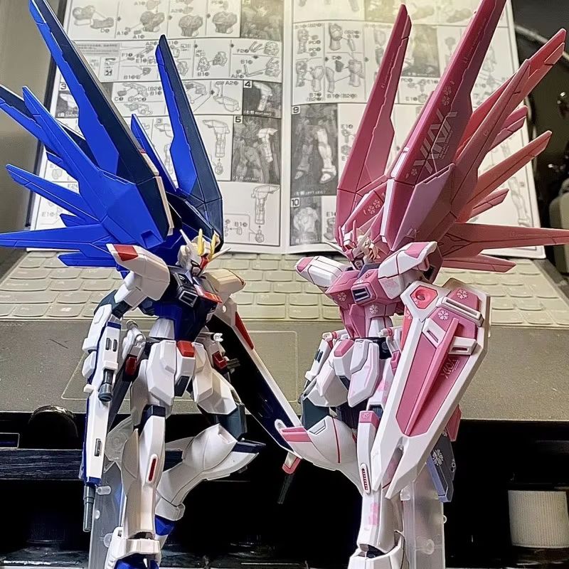 JMS HG 1/144 ZY-06 Freedom Ass - Bandai Gundam Hg reseña y precio